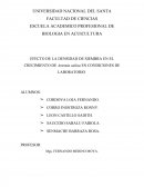 EFECTO DE LA DENSIDAD DE SIEMBRA EN EL CRECIMIENTO DE Artemia salina EN CONDICIONES DE LABORATORIO