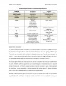 Tema: Polémica de Epistemología.