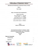 Formulación del acompañamiento.