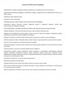 Usos económicos y Etnicos de las briofitas.