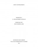 ENSAYO ECONOMÍA COLOMBIANA.