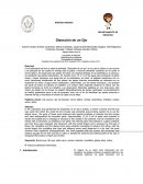 Tema: Disección de un Ojo