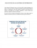 EL CICLO DE VIDA DE LOS SISTEMAS DE INFORMACION.