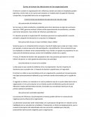 Como se toman las decisiones en organizaciones (resumen).