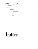 Encuesta sobre seguridad publica con preguntas cerradas.