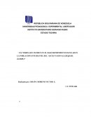 FACTORES QUE INCIDEN EN EL BAJO RENDIMIENTO ESCOLAR EN LA POBLACION ESTUDIANTIL