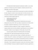 Historia perfil cardiaco.