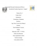 Practica 3 Cinematica y Dinamica Fes Aragón