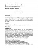 Ensayo de regalías.