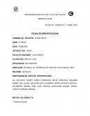 RESPONSABLES, ÁREA DE GERONTOLOGÍA