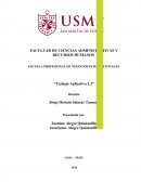 Trabajo Aplicativo 1.2 PBI real