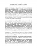 MAZE RUNNER: CORRER O MORIR