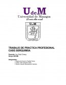 TRABAJO DE PRACTICA PROFESIONAL CASO SERQUIMSA