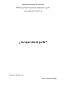 ¿Por qué vota la gente?