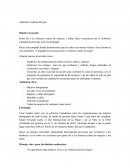 Poner fin a la violencia contra las mujeres y niñas, hacer conciencia con el Gobierno Canadiense para que estos las protegan