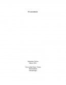 El consumismo. Humanidades Antropología