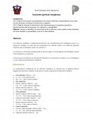 Sales hoxisales y haloideas..