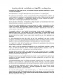 Crisis ambiental mundializada.