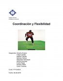 Coordinacion y flexibilidad.