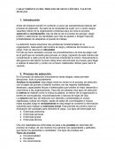 CARACTERÍSTICAS - PROCESO DE SELECCIÓN DEL TALENTO HUMANO.