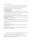 Las mariposas y los rayos de sol.