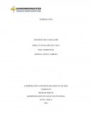 Actividad - Riesgos fisicos, administracion en salud ocupacional