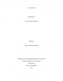 FORMULACIÓN DEL CASO DE LA ACADEMIA DE TERAPIA COGNITIVA