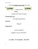 Ensayo Del Protocolo De Kyoto.