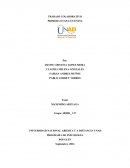 Construyendo la Cuidad del Verdadero Hombre