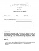 PRACTICAS DE LABORATORIO DE BIOLOGÍA BÁSICA.