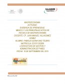 Mexico y los principales hitos en escuela de la Macroeconomia.