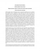 Reporte de lectura: algunas consideraciones técnicas sobre la entrevista.