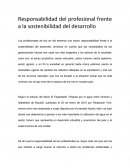 Responsabilidad del profesional frente a la sostenibilidad del desarrollo.