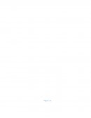 Alarifes y las Fortificaciones coloniales en Venezuela.