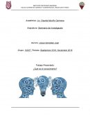 Trabajo Presentado: ¿Qué es el conocimiento?