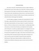 Puente entre Primates