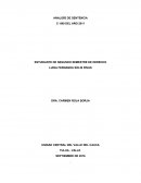 Tema- ANALISÍS DE SENTENCIA.