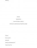 La neurona, definicion, clasificacion y estructuras