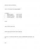 El Quijote de Samborombón