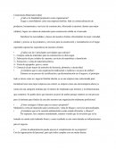 ¿Cuál es la finalidad (propósito) como organización?.