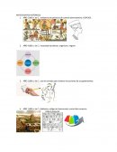 Antededentes históricos de la auditoria.