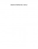 DISPOSITIVOS PARA EL REGISTRO DE TEMPERATURA