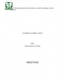 INSTITUTO MEXICANO DEL SEGURO SOCIAL. HOSPITAL GENERAL HGZ NO.1 TAPACHULA.