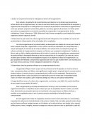 Evalua el comportamiento de los trabajadores dentro de la organización.