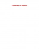 Profesionistas en Michoacan.