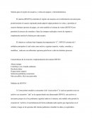 Sistema para el registro de usuarios y ventas de equipos y electrodomésticos .