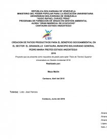 PROGRAMA DE FORMACIÓN DE GRADO EN GESTIÓN AMBIENTAL.. Página 1