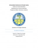 Programa de Médico Veterinaria y Zootecnia.