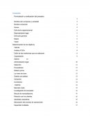 Formulacion y evaluacion de proyectos.