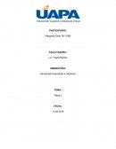 Este tema trata del concepto amplio de la definición de la persona adulta..